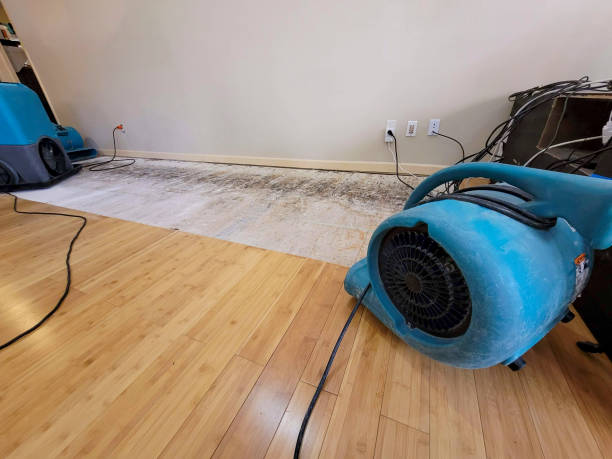 Professional Water Damage Repair technician working in Medford, OR